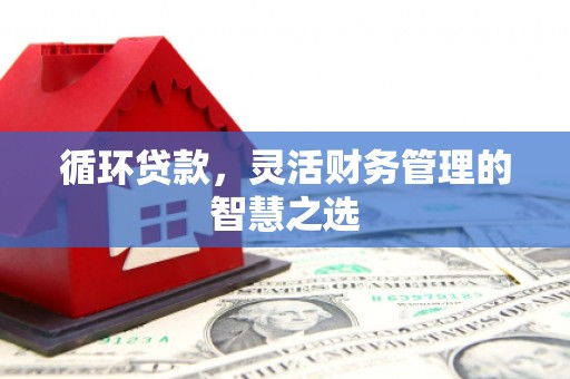 福清循环贷款，灵活财务管理的智慧之选
