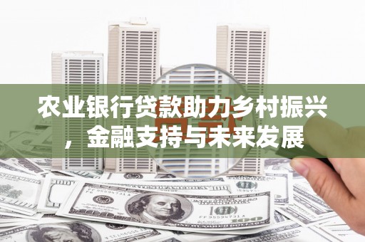 福清农业银行贷款助力乡村振兴，金融支持与未来发展