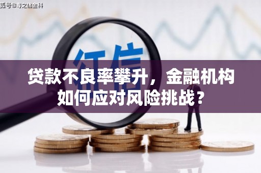 福清贷款不良率攀升，金融机构如何应对风险挑战？