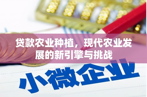 福清贷款农业种植，现代农业发展的新引擎与挑战