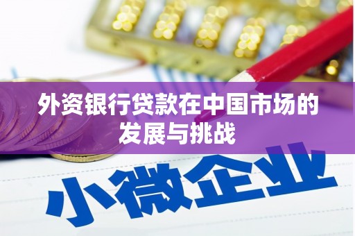 福清外资银行贷款在中国市场的发展与挑战