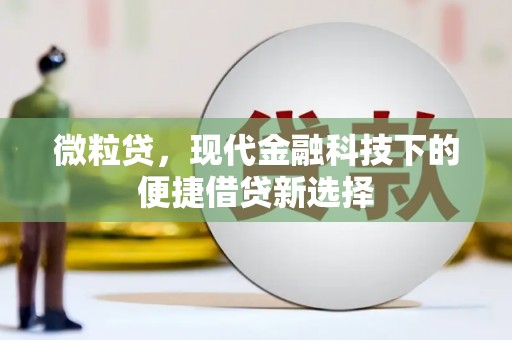 福清微粒贷，现代金融科技下的便捷借贷新选择