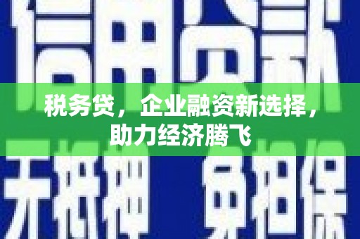 福清税务贷，企业融资新选择，助力经济腾飞
