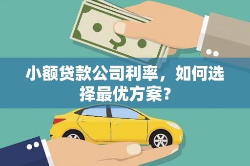 福清小额贷款公司利率，如何选择最优方案？