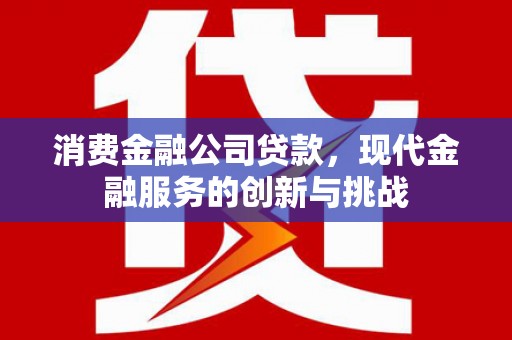 福清消费金融公司贷款，现代金融服务的创新与挑战