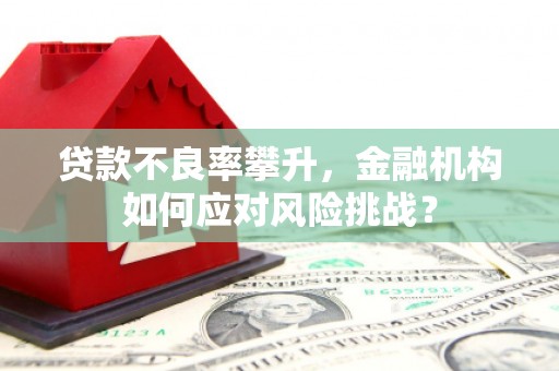 福清贷款不良率攀升，金融机构如何应对风险挑战？