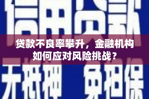 福清贷款不良率攀升，金融机构如何应对风险挑战？