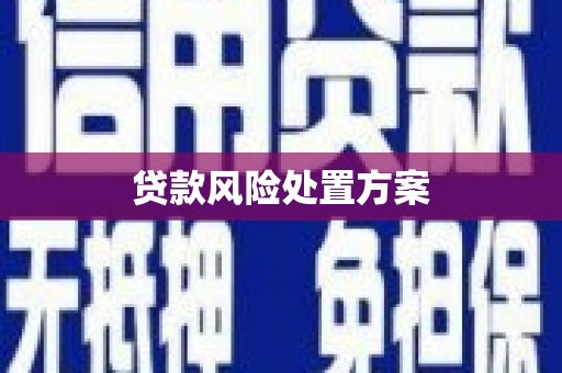 福清贷款风险处置方案