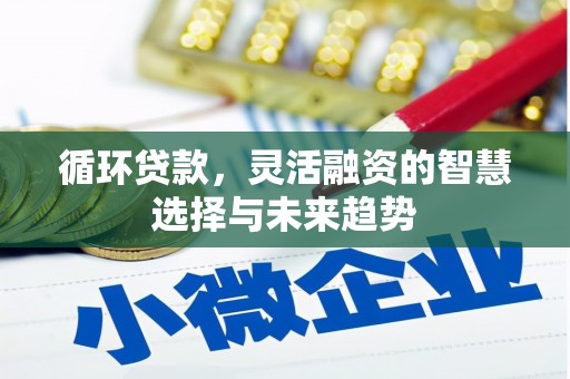 福清循环贷款，灵活融资的智慧选择与未来趋势