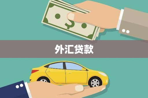 福清外汇贷款