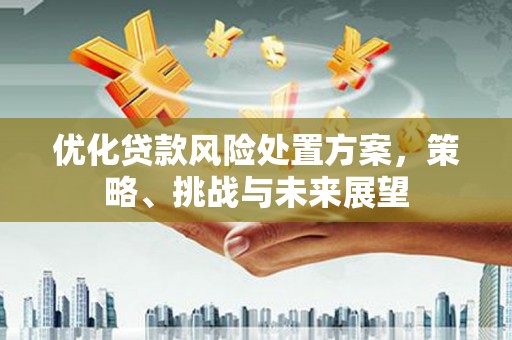 福清优化贷款风险处置方案，策略、挑战与未来展望