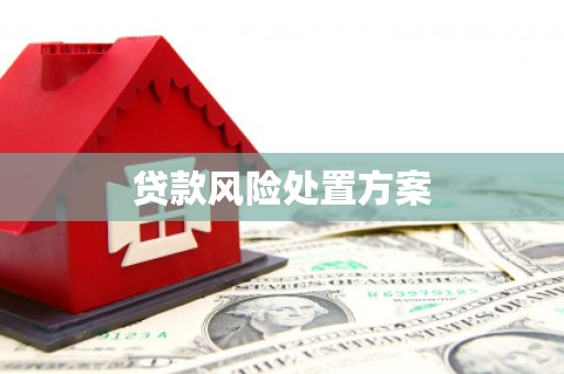 福清贷款风险处置方案