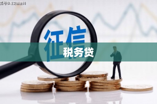 福清税务贷