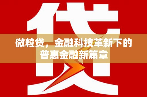 福清微粒贷，金融科技革新下的普惠金融新篇章