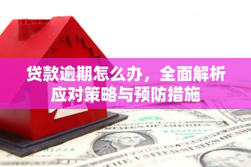 福清贷款逾期怎么办，全面解析应对策略与预防措施
