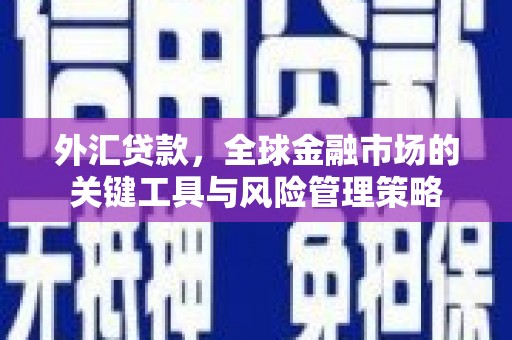 福清外汇贷款，全球金融市场的关键工具与风险管理策略