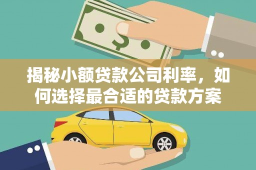 福清揭秘小额贷款公司利率，如何选择最合适的贷款方案