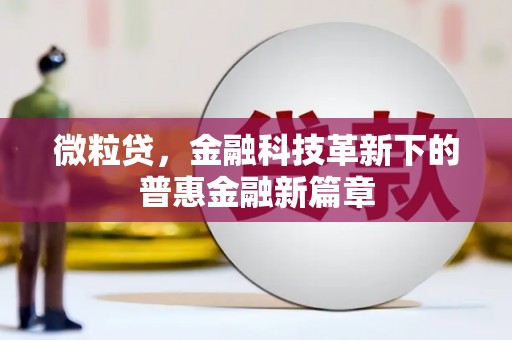 福清微粒贷，金融科技革新下的普惠金融新篇章