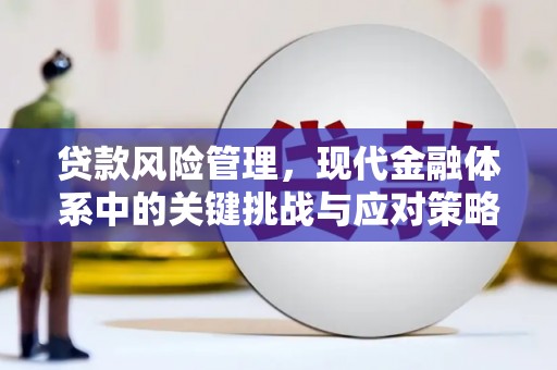 福清贷款风险管理，现代金融体系中的关键挑战与应对策略